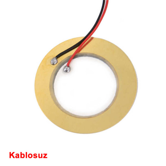 27mm Piezo Disk